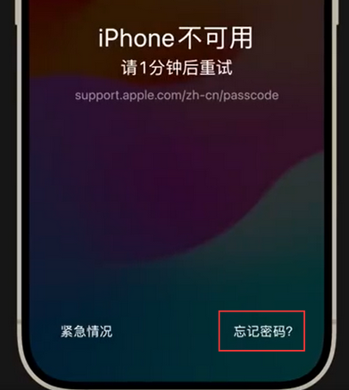 宁晋苹果手机密码维修分享iPhone忘记了刚设置的密码 