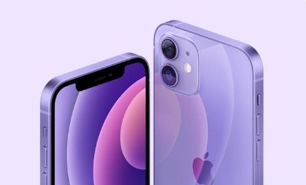 宁晋苹果手机维修分享紫色版iPhone 12有什么技术亮点 