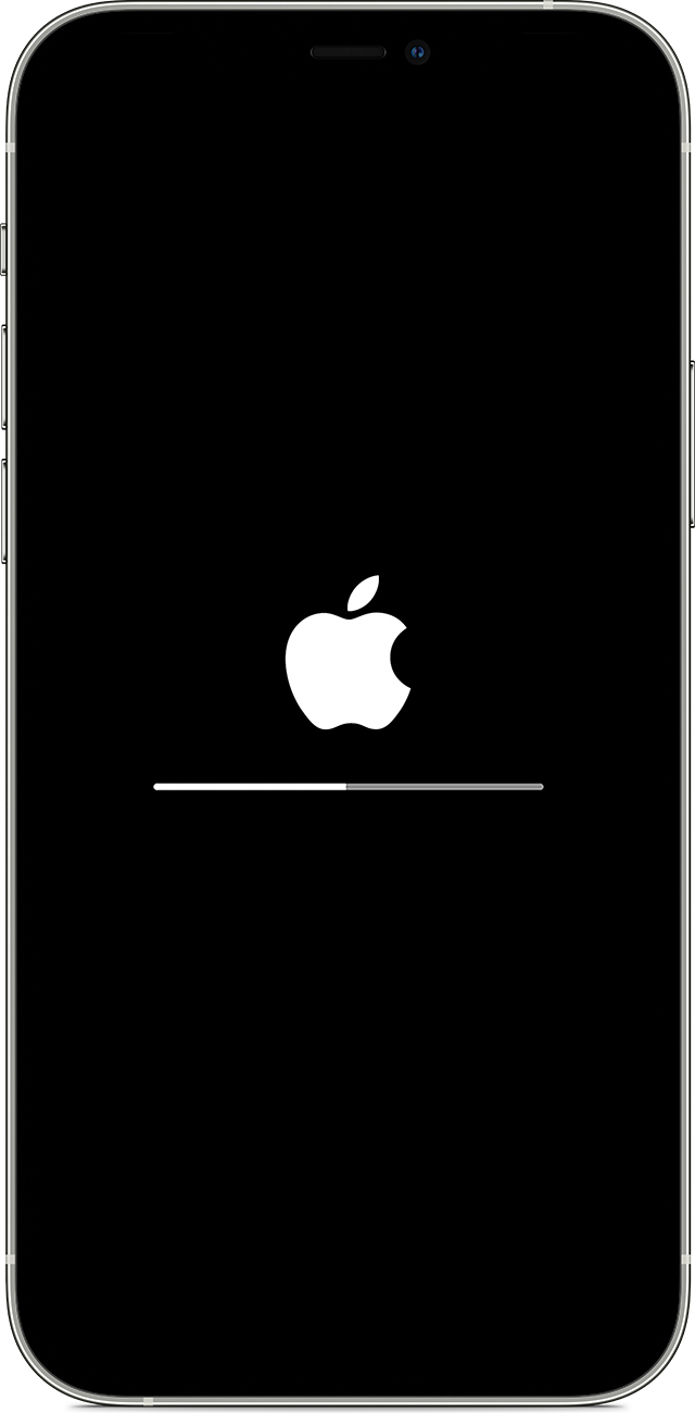 宁晋苹果手机维修分享iPhone 12 无法更新系统、出现报错的解决办法 