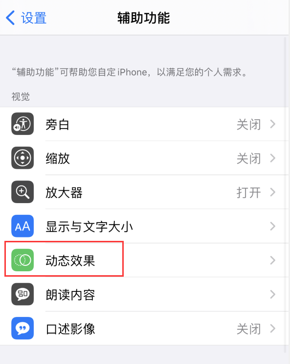宁晋苹果手机维修分享iPhone 12 退出应用时没有动画显示，如何设置 