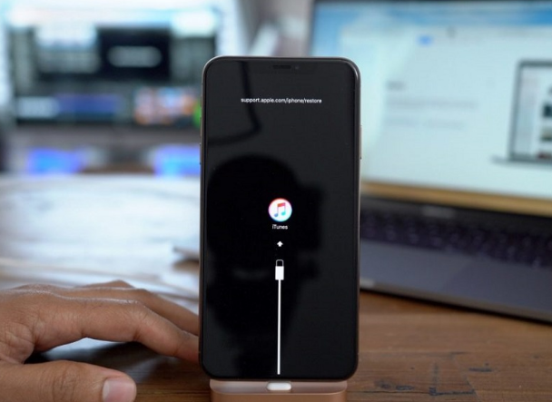 宁晋苹果手机维修分享iPhone12进DFU教程 